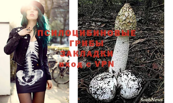 альфа пвп Алексеевка