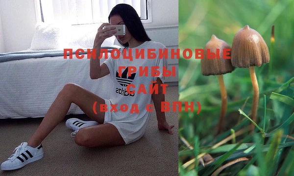 альфа пвп Алексеевка