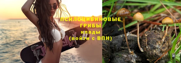 дурь Абинск