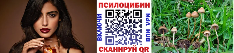 Псилоцибиновые грибы Psilocybe что такое наркотик Чапаевск